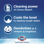 Disinfecting Toilet Bowl Cleaner with Bleach, Rain Clean Scent, 24 oz Bottle, 2/Pack