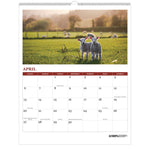 100% Recycled Farm Life Wall Calendar, 11 x 14, White/Multicolor Sheets, 12-Month (Jan-Dec): 2025