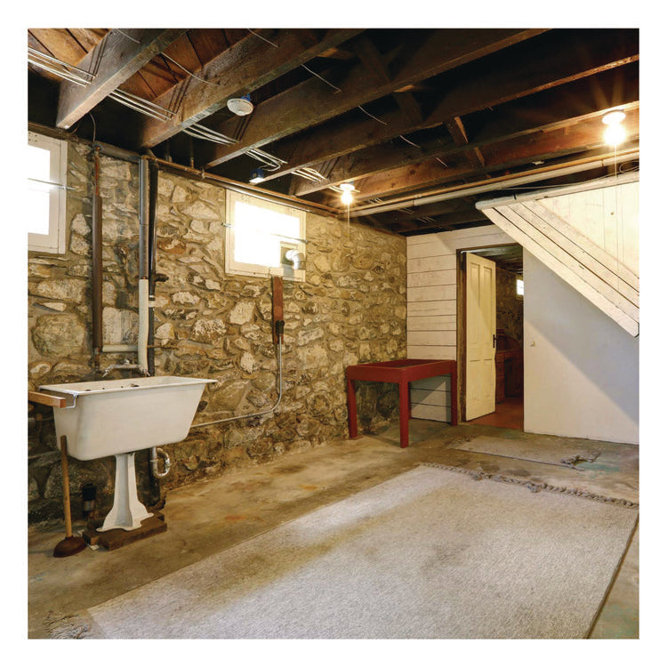 Hand-Held Odor Neutralizer, Alpine Mist, 10 Oz Aerosol Spray, 12/carton