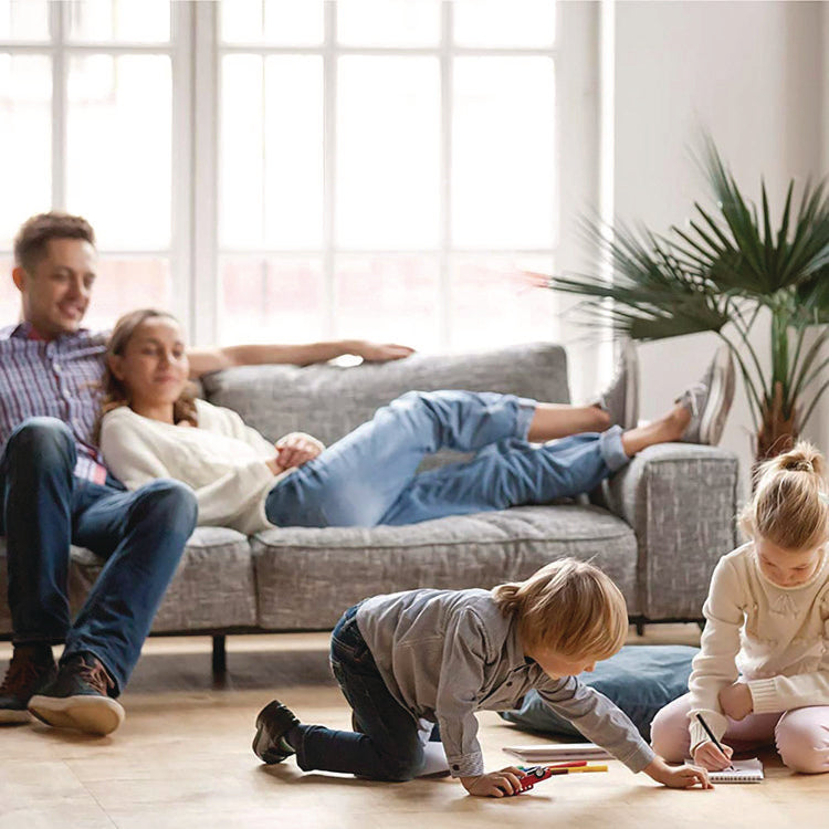 Hand-Held Odor Neutralizer, Alpine Mist, 10 Oz Aerosol Spray, 12/carton