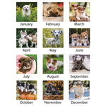 Puppies Monthly Desk Pad Calendar, Puppies Photography, 22 x 17, White Sheets, Clear Corners, 12-Month (Jan to Dec): 2025