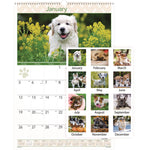 Puppies Monthly Wall Calendar, Puppies Photography, 15.5 x 22.75, White/Multicolor Sheets, 12-Month (Jan to Dec): 2025