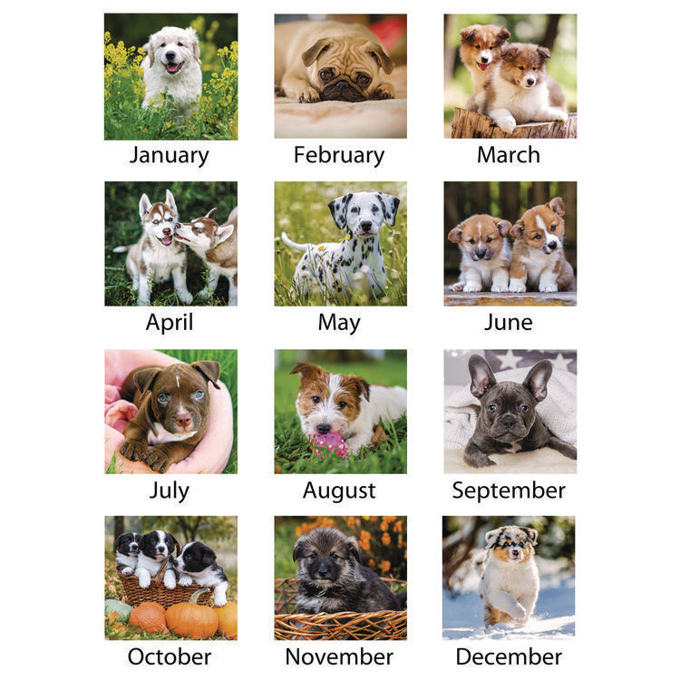 Puppies Monthly Wall Calendar, Puppies Photography, 15.5 x 22.75, White/Multicolor Sheets, 12-Month (Jan to Dec): 2025