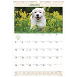 Puppies Monthly Wall Calendar, Puppies Photography, 15.5 x 22.75, White/Multicolor Sheets, 12-Month (Jan to Dec): 2025