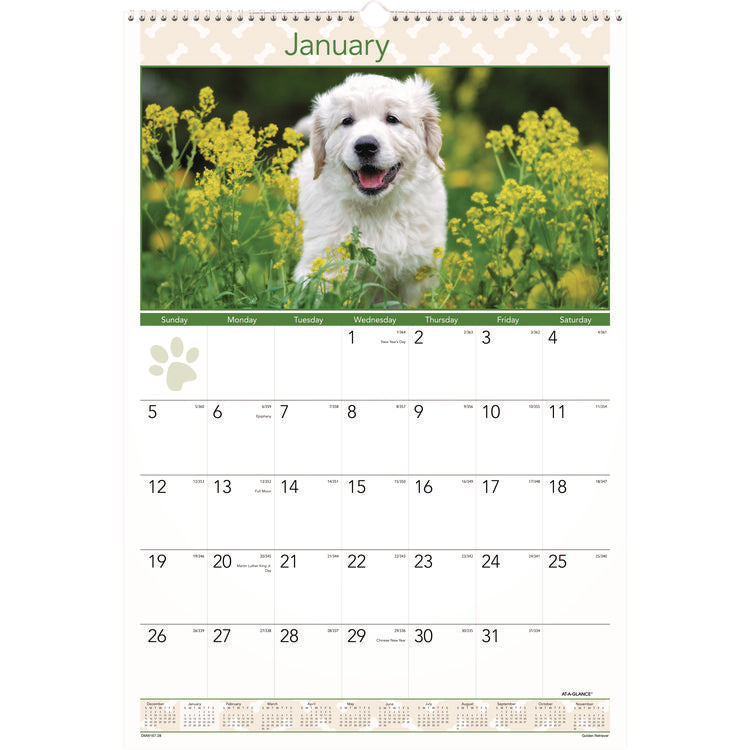 Puppies Monthly Wall Calendar, Puppies Photography, 15.5 x 22.75, White/Multicolor Sheets, 12-Month (Jan to Dec): 2025