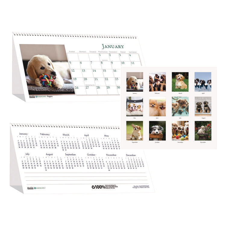 Earthscapes Recycled Desk Tent Monthly Calendar, Puppies Photography, 8.5 x 4.5, White Sheets, 12-Month (Jan to Dec): 2025