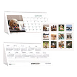 Earthscapes Recycled Desk Tent Monthly Calendar, Puppies Photography, 8.5 x 4.5, White Sheets, 12-Month (Jan to Dec): 2025