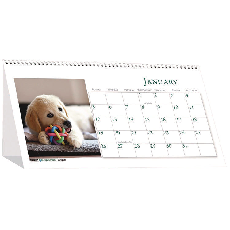 Earthscapes Recycled Desk Tent Monthly Calendar, Puppies Photography, 8.5 x 4.5, White Sheets, 12-Month (Jan to Dec): 2025