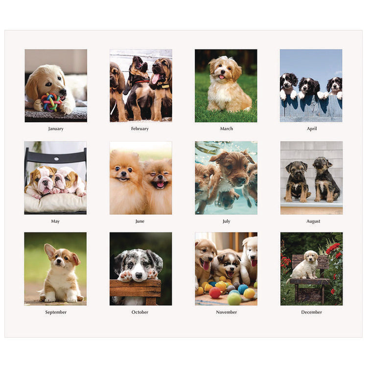 Earthscapes Recycled Desk Tent Monthly Calendar, Puppies Photography, 8.5 x 4.5, White Sheets, 12-Month (Jan to Dec): 2025