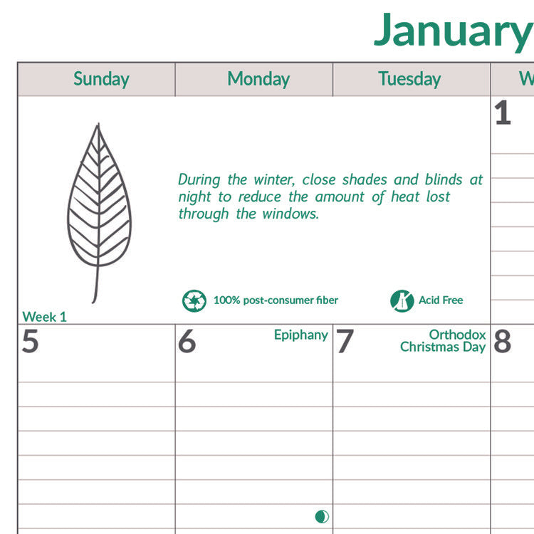 EcoLogix Monthly Wall Calendar, EcoLogix Artwork, 12 x 17, White/Green Sheets, 12-Month (Jan to Dec): 2025