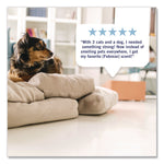 PLUG Air Freshener Warmer Starter Kit, Clear/White, with (2) Gain Original Refills