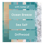 Plugin Scented Oil Refill, Sky and Sea Salt, 0.67 oz, 2/Pack