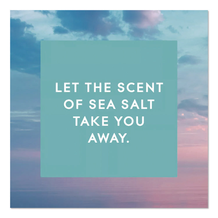 Plugin Scented Oil Refill, Sky and Sea Salt, 0.67 oz, 2/Pack