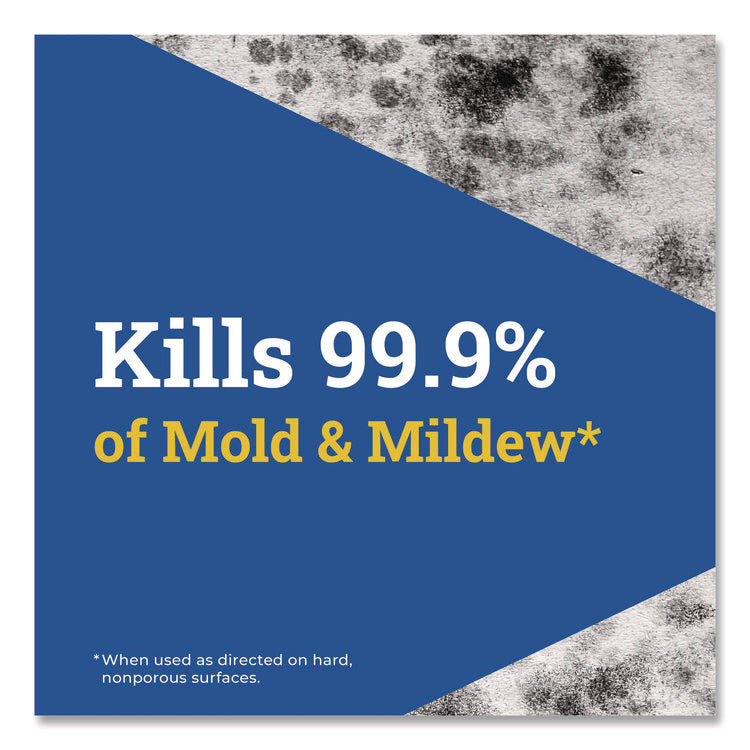 CloroxPro Disinfecting Instant Mold and Mildew Remover, 32 oz Smart Tube Spray