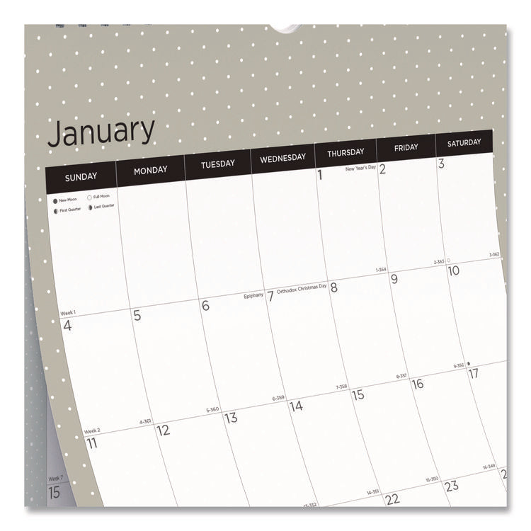 12-Month Wall Calendar, Succulent Plants Photography, 12 x 17, White/Multicolor Sheets, 12-Month (Jan to Dec): 2025