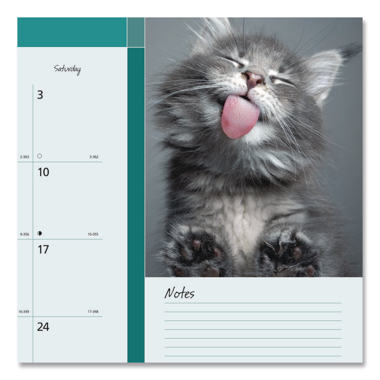 Pets Collection Monthly Desk Pad, Furry Kittens Photography, 22 x 17, White Sheets, Black Binding, 12-Month (Jan-Dec): 2025