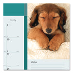 Pets Collection Monthly Desk Pad, Puppies Photography, 22 x 17, Black Binding, Clear Corners, 12-Month (Jan to Dec): 2025