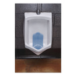 Tsunami, Cotton Blossom, Blue, 148 g, 6/Carton