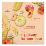 Air, Hawaiian Aloha, 8.8 Oz Aerosol Spray, 2/pack