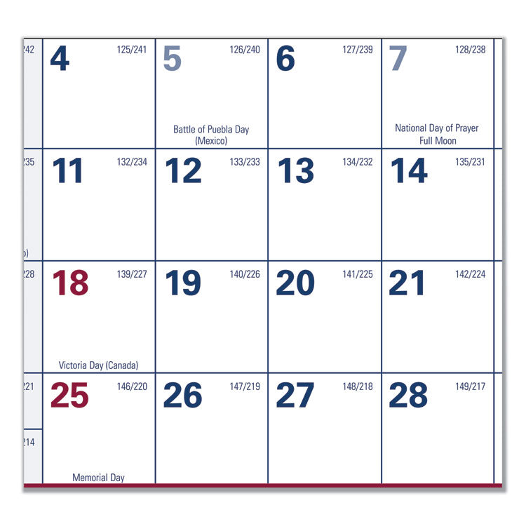Erasable Vertical/Horizontal Wall Planner, 32 x 48, White/Blue/Red Sheets, 12-Month (Jan to Dec): 2025
