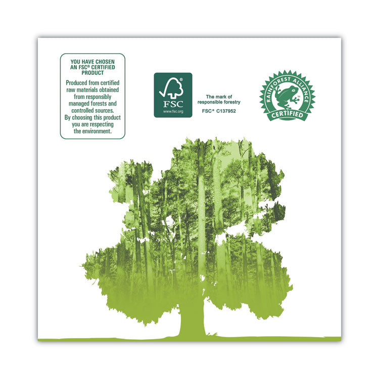 Premium Kitchen Roll Towels, 2-Ply, 11 x 6, White, 110/Roll, 12 Rolls/Carton