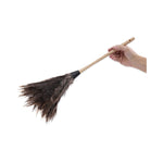 Professional Ostrich Feather Duster, 13" Wood Handle