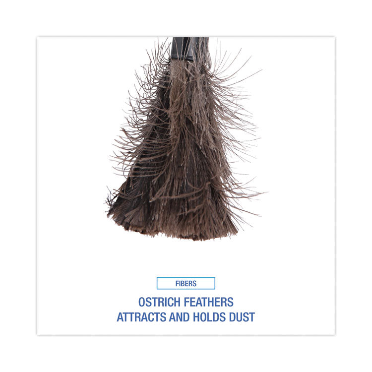 Ostrich Feather Duster, 9" to 14" Retractable Plastic Handle