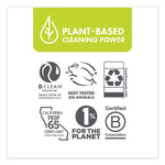 Laundry Detergent Sheets, Free and Clear, 40/Pack