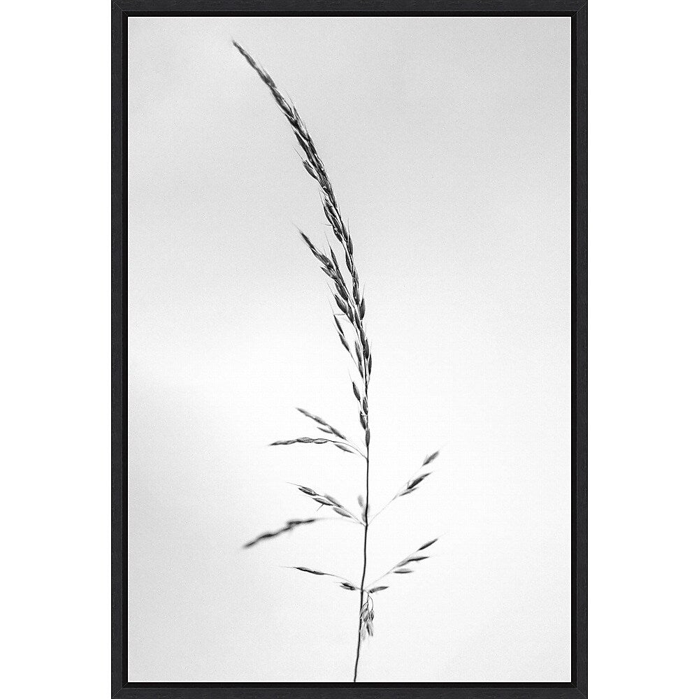 Amanti Art Amid the Flowers 45 by Teis Albers Framed Canvas Wall Art Print, 23" x 33" (A42677457048)