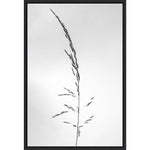 Amanti Art Amid the Flowers 45 by Teis Albers Framed Canvas Wall Art Print, 23" x 33" (A42677457048)