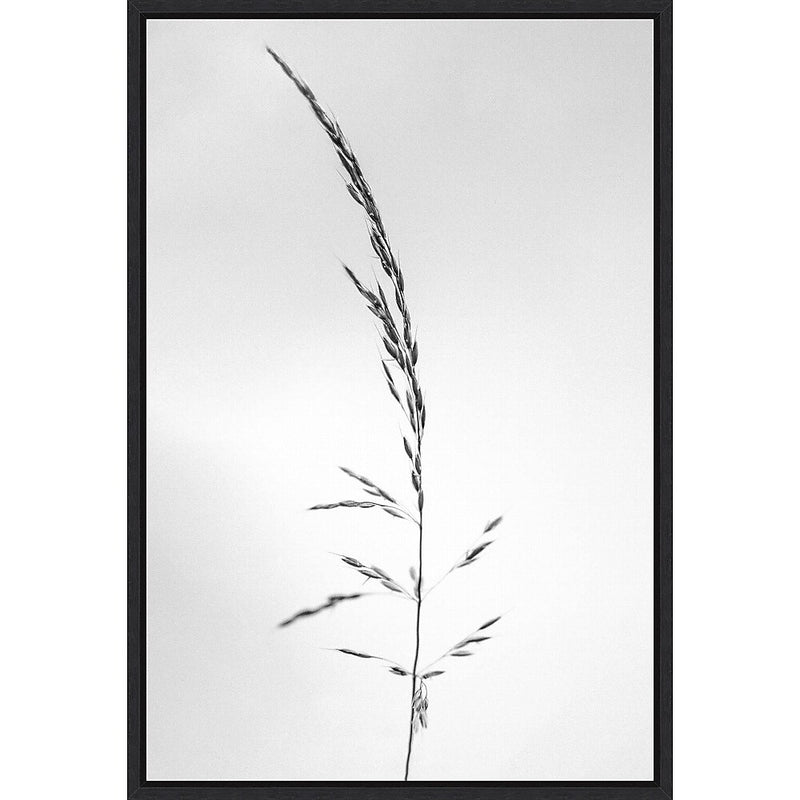 Amanti Art Amid the Flowers 45 by Teis Albers Framed Canvas Wall Art Print, 23" x 33" (A42677457048)