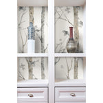 York Wallcoverings Birch Trees Peel and Stick Wallpaper (RMK9047WP)