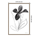 Amanti Art Paradise Plants II by Danhui Nai Framed Canvas Wall Art Print, 23" x 33" (A42678302726)