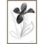 Amanti Art Paradise Plants II by Danhui Nai Framed Canvas Wall Art Print, 23" x 33" (A42678302726)