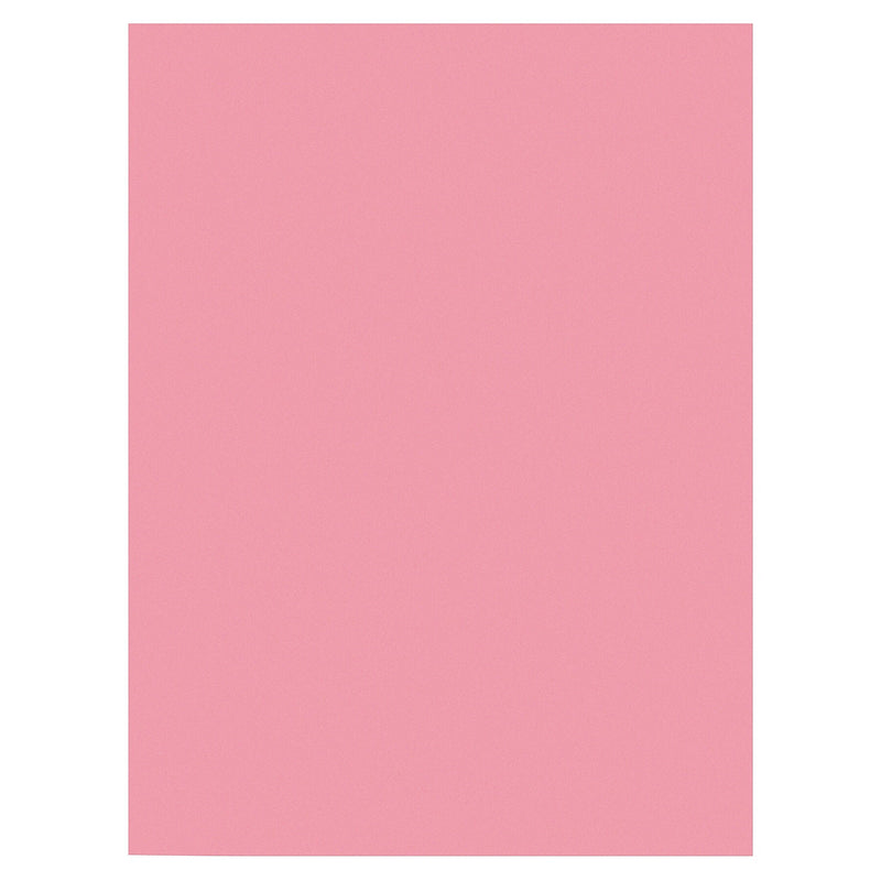 Prang 9" x 12" Construction Paper, Pink, 50 Sheets/Pack, 10 Packs/Bundle (PAC7003-10)