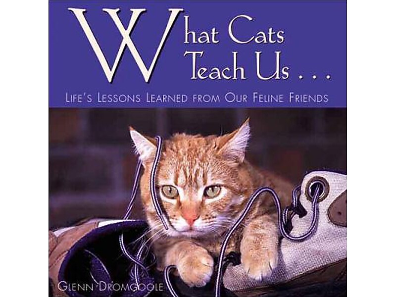 What Cats Teach Us Book, Hardcover