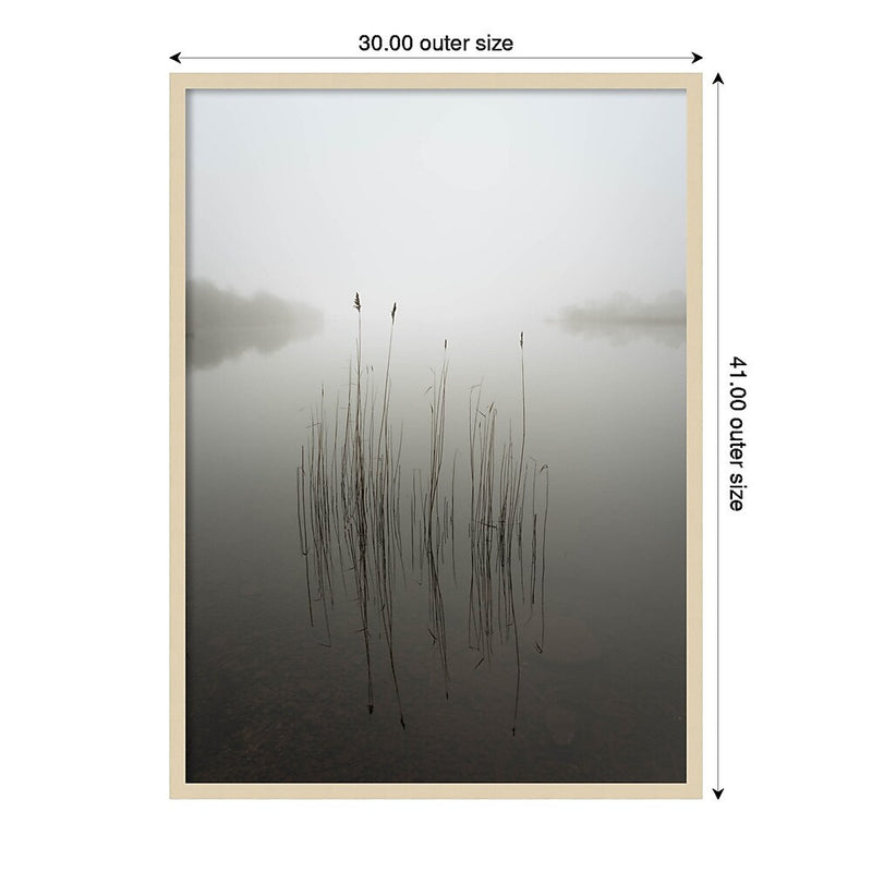 Amanti Art Reeds in the mist by David Ahern Wood Framed Wall Art Print, 30" x 41" (A42677389619)
