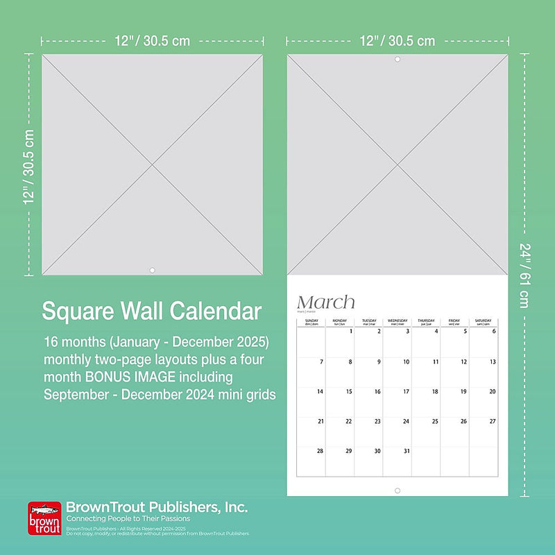 2025 BrownTrout Arizona National Parks & Monuments 12" x 12" Monthly  Wall Calendar (9781975476007)