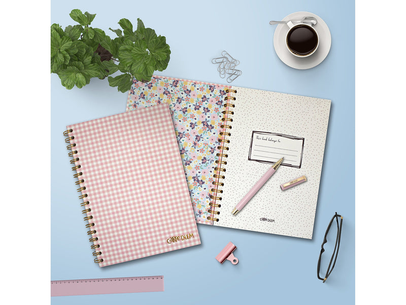 Carpe Diem Ballerina Pink Check 1-Subject Notebook, 7.5" x 9.75", Wide-Ruled, 80 Sheets, Pink/White (9377-CD)