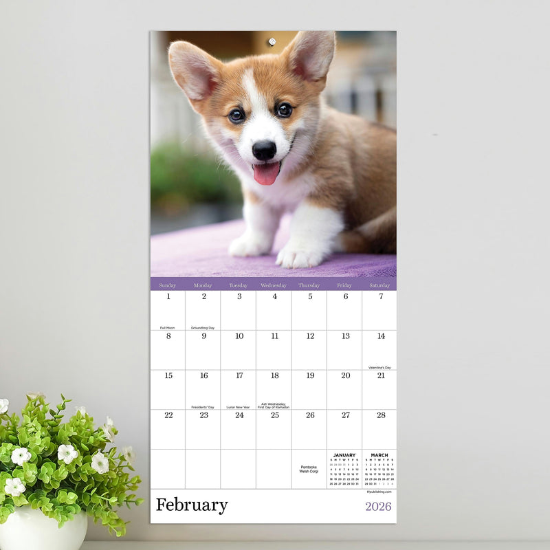 2026 TF Publishing 12" x 17" TF Publishing 7" x 7" Puppies Mini Calendar 26-2007