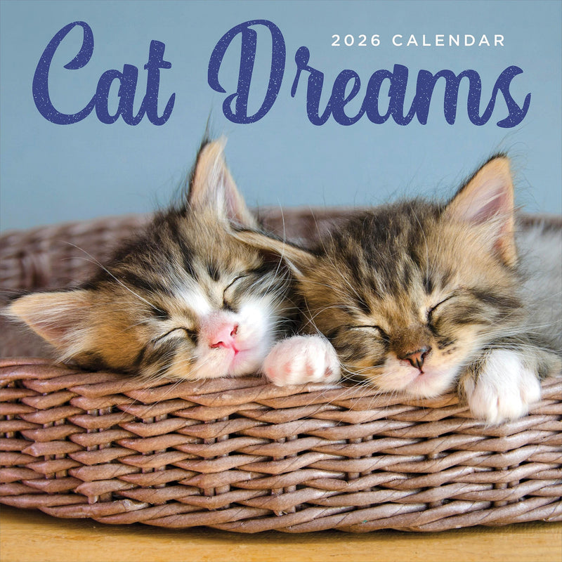 2026 TF Publishing Cat Dreams 12" x 12" Monthly Wall Calendar, Multi (26-1003)