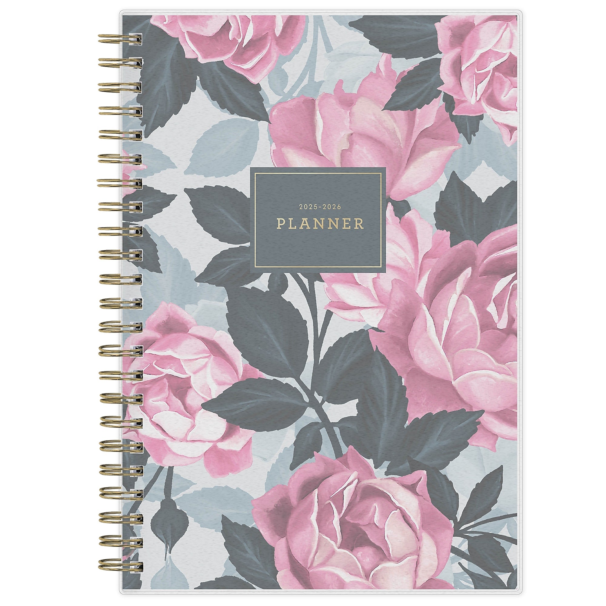 2025-2026 Blue Sky Roosevelt 5" x 8" Academic Year Weekly & Monthly Planner, Plastic Cover, Multicolored (128692-A26)