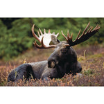 S&S 24-Piece Thera Jigsaw Foam Puzzle, 4 Puzzles/Set (19210)