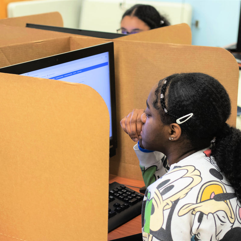 Classroom Products Foldable Cardboard Freestanding Privacy Shield, 19"H x 26"W, Kraft, 20/Box (VB1920 KR)