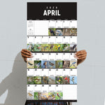 2026 TF Publishing 12" x 17" TF Publishing 12" x 12" Birds: Backyard and Beyond Wall Calendar 26-1121