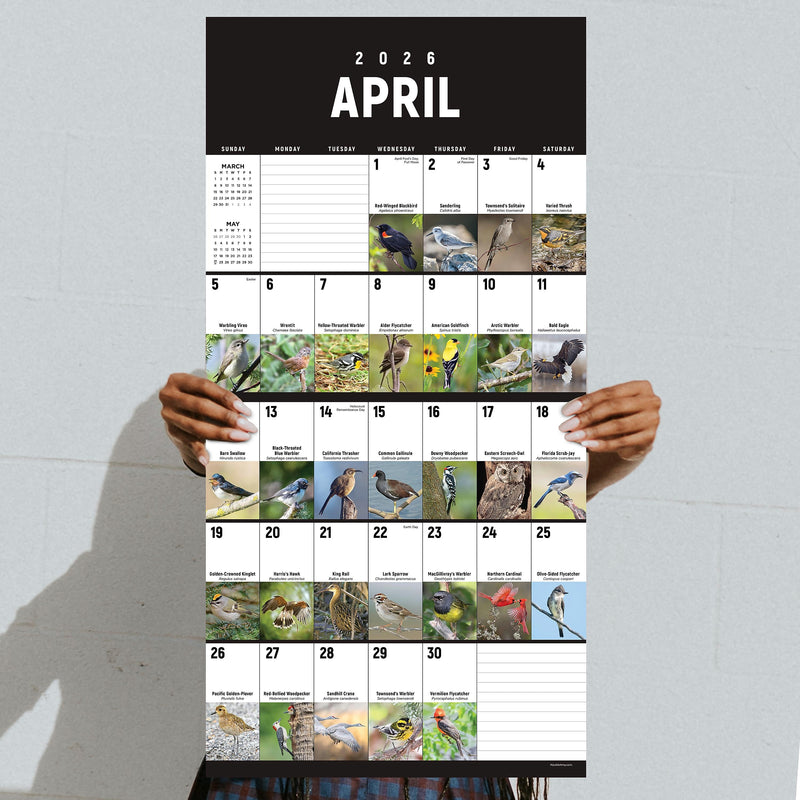 2026 TF Publishing 12" x 17" TF Publishing 12" x 12" Birds: Backyard and Beyond Wall Calendar 26-1121