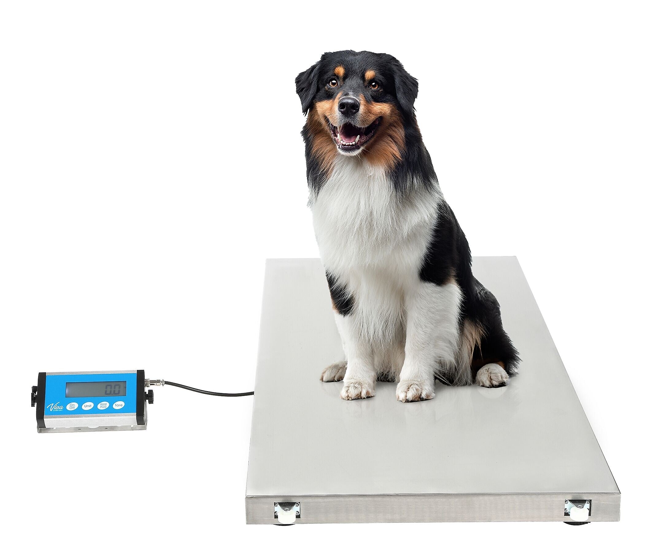Viva Comfort ME904 ADI904-04-MK Veterinary Scale with Wheels, White, 660 lbs. Capacity