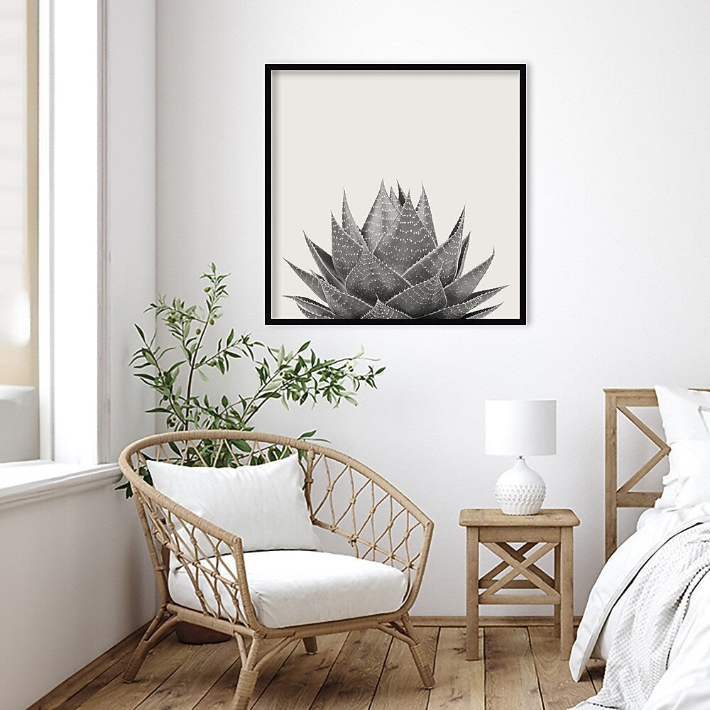 Amanti Art Haze Aloe Succulent by The Creative Bunch Studio Wood Framed Wall Art Print, 33" x 33" (A42675345777)