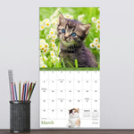 2026 TF Publishing Kittens Mini 7" x 7" Monthly Wall Calendar, Multicolor (26-2002)