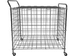 Champion Sports Portable Ball Locker, Silver (BLX)